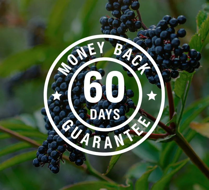 JellyTide 60 day guarantee and shipping